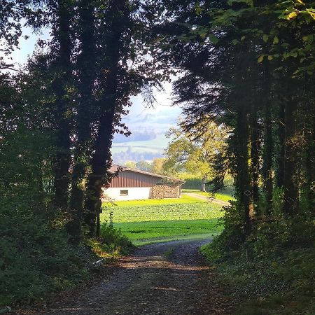 Familiy & Kids Suite Im Herzen Der Schweiz Dietwil Eksteriør bilde